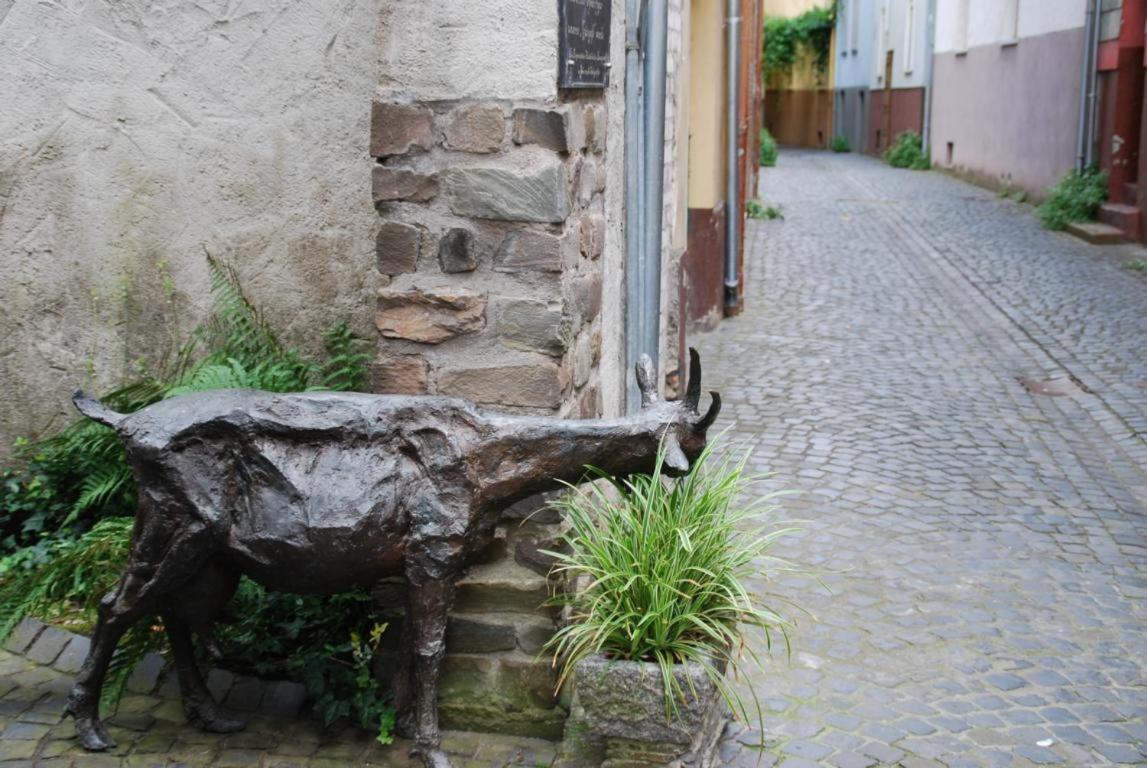 Paradiesisch Wohnen - Loreley Sankt Goarshausen Exteriör bild